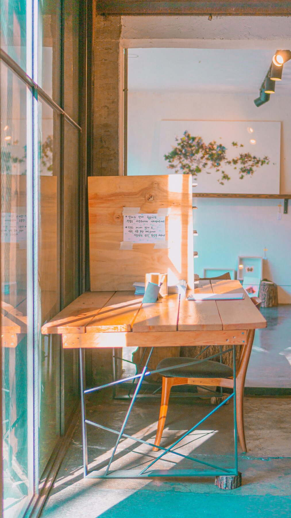 木と自然光を生かした聖水洞のカフェ店内
